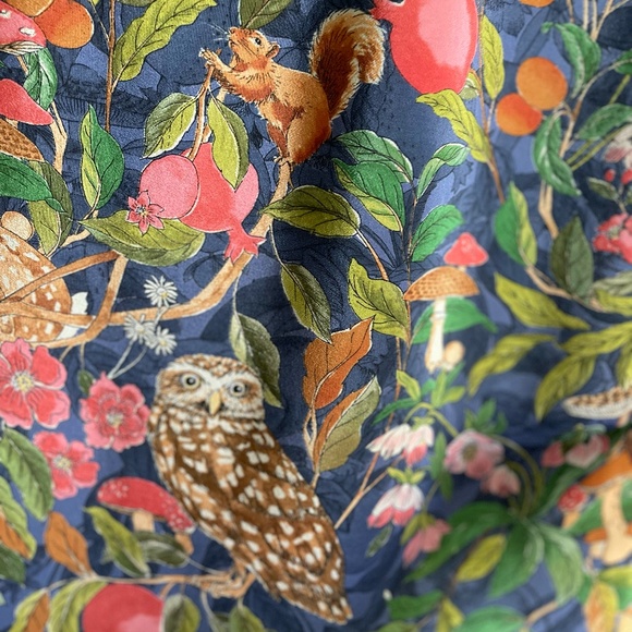 Moulinette Soeurs for Anthropologie Silk Fabled Fields Print Dress ~ Size L - Picture 5 of 12